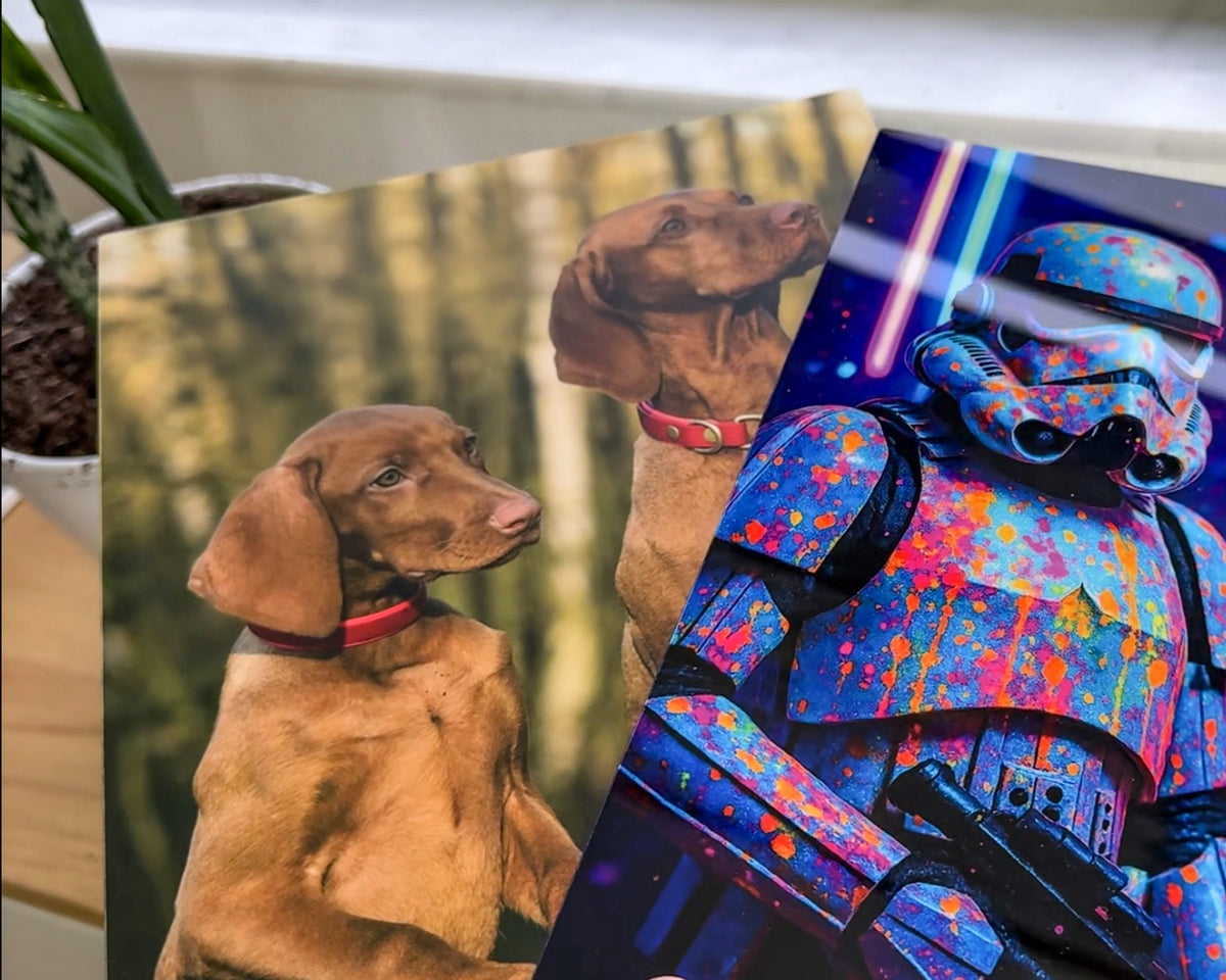Two printed art/poster-style prints shown overlapping on a tabletop. The left print shows two brown dogs in a blurred indoor setting, and the right print shows a colorful painted trooper with blue, pink, orange, and purple splatter effects.