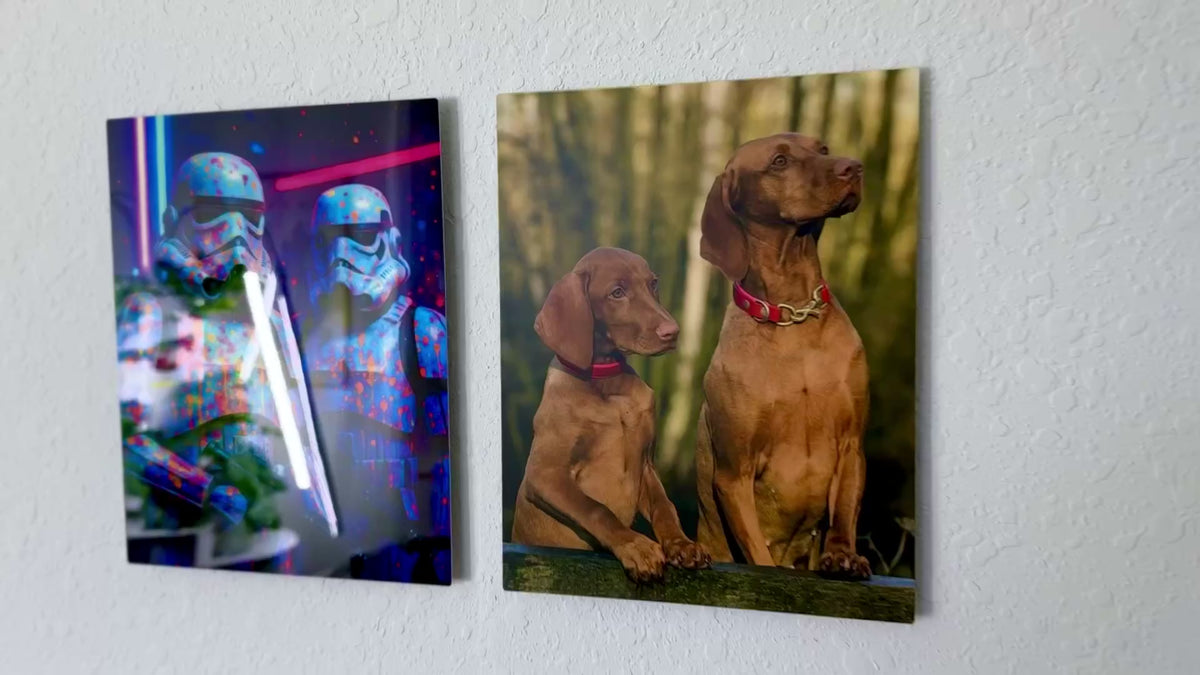 Video showing two 8x10 HD metal prints in glossy and matte finish. 
