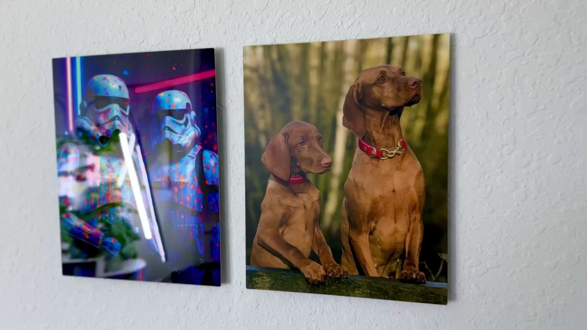 Video showing two 8x10 HD metal prints in glossy and matte finish. 